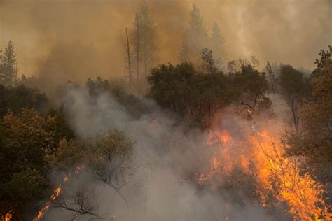 Alerta Incendios En Costa Oeste Y Canadá Podrían Afectar Calidad Del