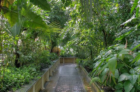 Forest Garden Greenhouse Open Source Ecology