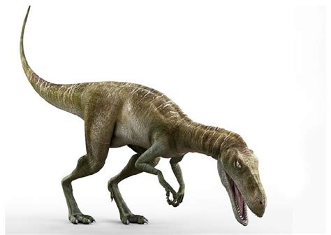 Staurikosaurus - Alchetron, The Free Social Encyclopedia