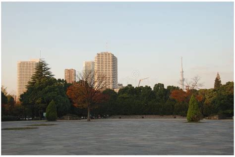 Kiba Park Of Tokyo Stock Image Image Of Fall Stone 105328823