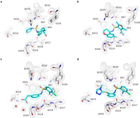 Electron Density Maps For AmpCinhibitor Complexes The Initial Fo Fc