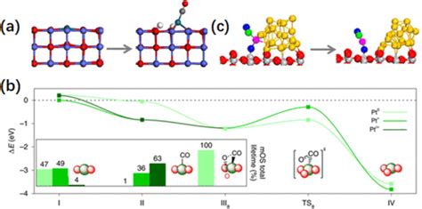 Understanding Single Atom Catalysis In View Of Theory JACS Au