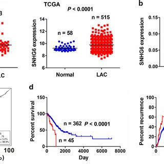 Increased Expression Of LncRNA SNHG6 Was Associated With Poor Survival