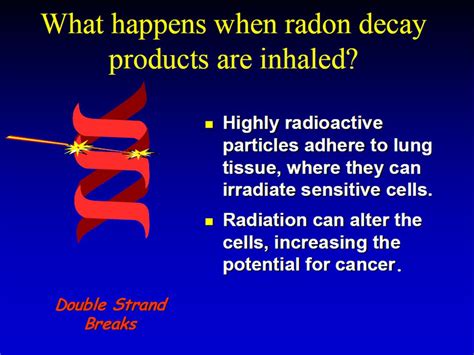 Radon Radon Is A Heavy Gas That Is Produced From The Breakdown Of