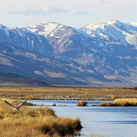 What To See Winnemucca Horseshoes