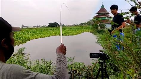 Bikin Pemancing Lain Melongo Saya Strike Ikan Besar Terus Terusan