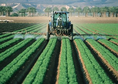 Sabes de qué trata la bioeconomía y su potencial en Iberoamérica