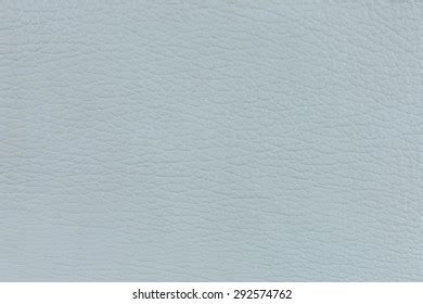 Shark Skin Stock Photo 292574762 | Shutterstock