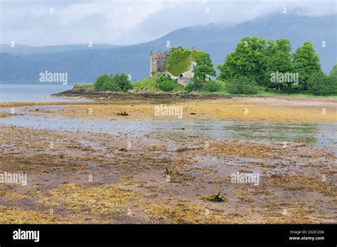 Old Castle Lachlan Overlooking Loch Fyne At Low Tide Strachur