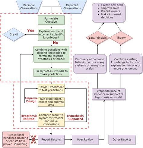 The Scientific Process Body Physics Motion To Metabolism