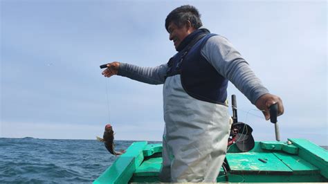 Pescadores Consumidores Y Tecnología Una Alianza Para Salvar Los Océanos