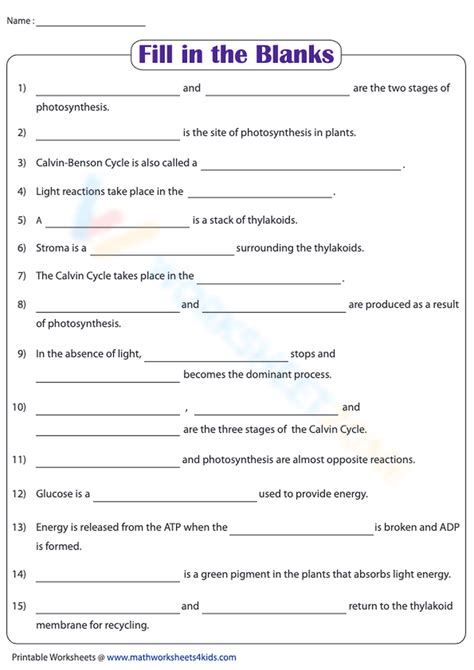 Photosynthesis Fill In The Blanks Worksheet