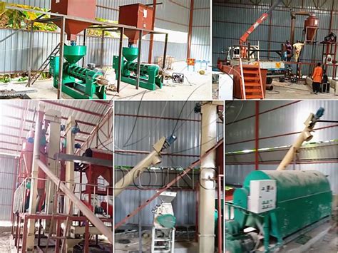 5tph Palm Kernel Cracking And Separating Machine Project And 1tph Palm