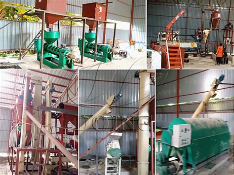 5tph Palm Kernel Cracker And Separator Machine Project And 1tph Palm