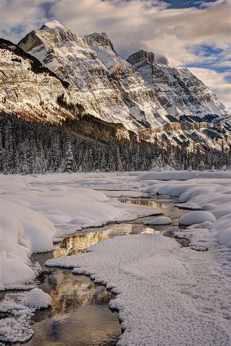 Somerset House - Images. WINTER IN JASPER NATIONAL PARK-ALBERTA-CANADA