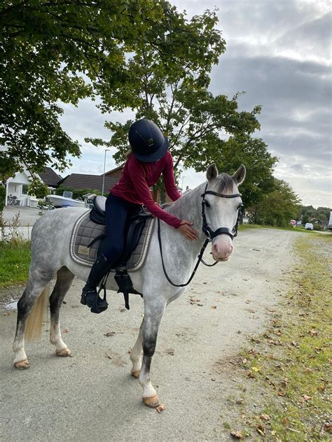 Trivelig Allround Ponni Selges Finn Torget