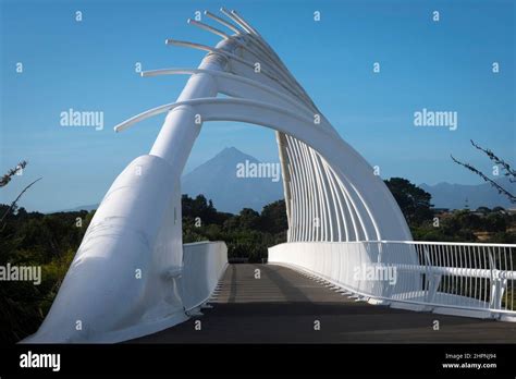 Te Rewa Rewa Bridge New Plymouth Taranaki North Island New Zealand