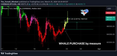 COINBASE BTCUSD Idea Chart Image By The ForexX Mindset TradingView