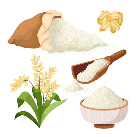 Premium Vector Rice Grain Set Cartoon Vector Illustration