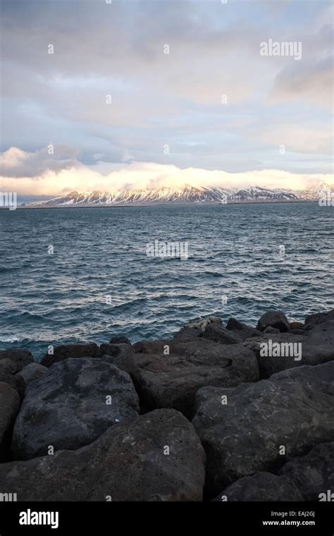 Videy Island Reykjavik Iceland Stock Photo Alamy