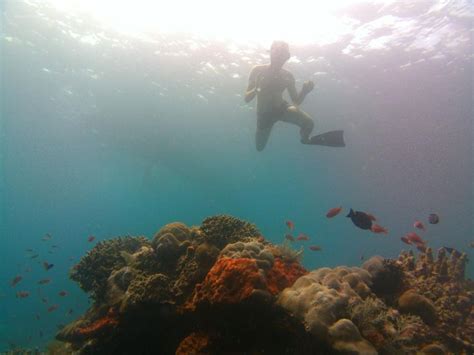 Excursión de un día a lo mejor de Nusa Penida con barco privado para