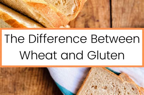 The Difference Between Wheat And Gluten Allergy A La Mode