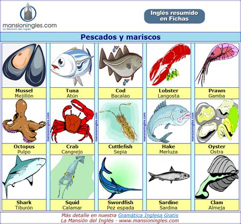 Pescados Y Mariscos En Ingl S Vocabulario En Ingles Ingles Vocabulario