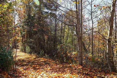 5 1 Acres Of Land For Sale In Scaly Mountain North Carolina LandSearch