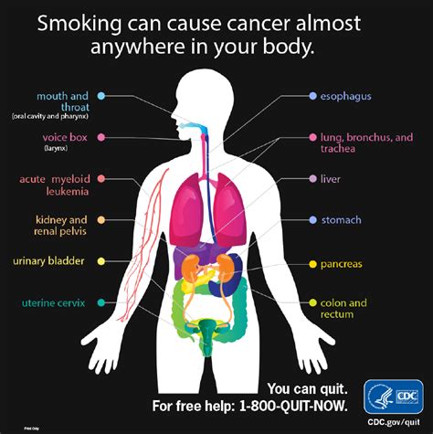 Tobacco Products Wyoming Department Of Health
