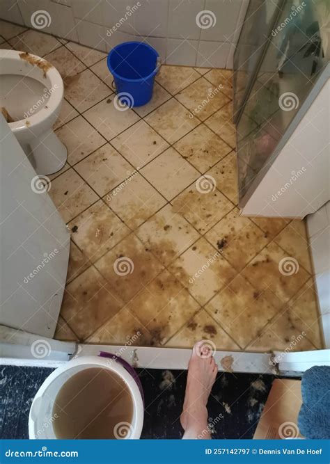 Clogged Sewage Drain Pipe Causing A Damage Stock Image Image Of