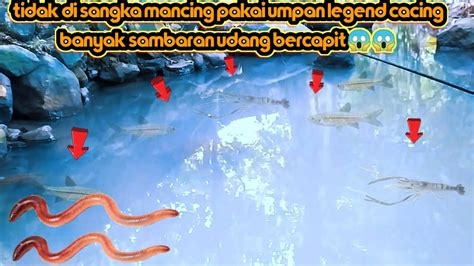 MICRO FISHING MANCING DI SPOT KALI CIMACAN LAGI PAKE UMPAN LEGEND