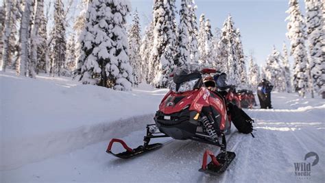 Rovaniemi Safari En Moto De Nieve Por El Bosque Del C Rculo Polar