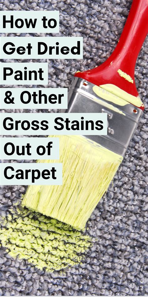 How To Get Dried Paint Out Of Carpet And Other Gross Stains Artofit