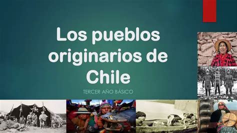 Pueblos Originarios Chile Profesocial