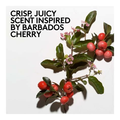 Buy Fenty Skin Cherry Dub Triple Action Aha Body Scrub Sephora Australia