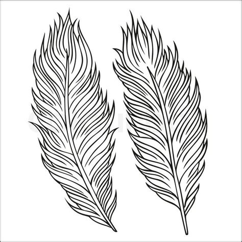 Black Feather Drawing At Getdrawings Free Download