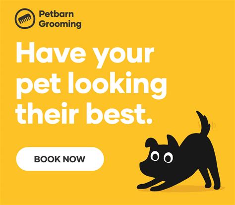 How To Cut And Trim Your Dogs Nails Petbarn