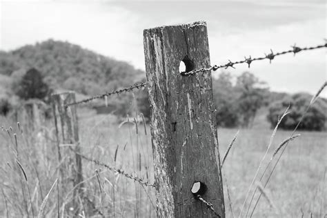 Rustic Black and White Fence Photograph by Samuel Mitchell - Fine Art ...