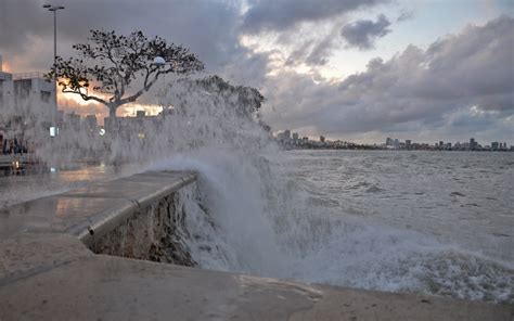 Ressaca Do Mar Derruba árvores Na Praia De Manaíra Em João Pessoa