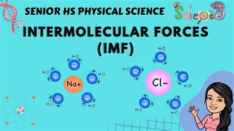 Intermolecular Forces Definition Types Equations Examples | Hot Sex Picture