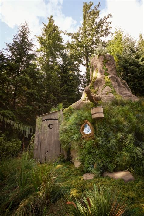 Shreks Swamp