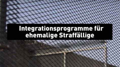 Integrationsprogramme F R Ehemalige Straff Llige Youtube