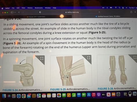 CHAPTER 5 LESSON 3 Joints Flashcards Quizlet