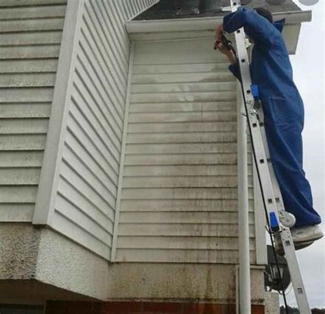 Pressure Washing Blue Gander Window Cleaning