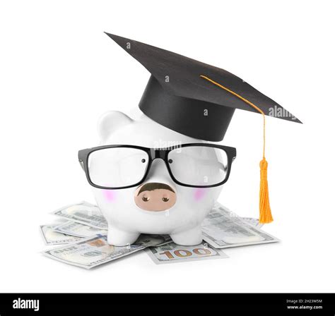 Money Bills And Piggy Bank With Glasses In Graduation Hat Isolated On