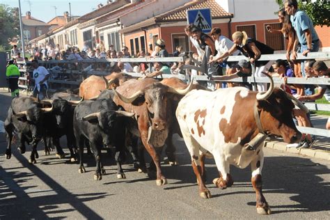 Fotos Las mejores imágenes del primer encierro de las Fiestas de