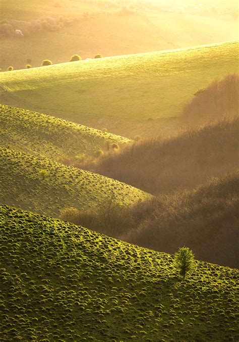 Dorset, England : r/natureporn