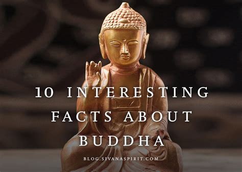 10 Facts About Buddhism Atelier Yuwa Ciao Jp