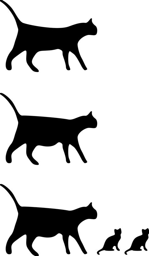 Free Black And White Cat Sketches, Download Free Black And White Cat ...