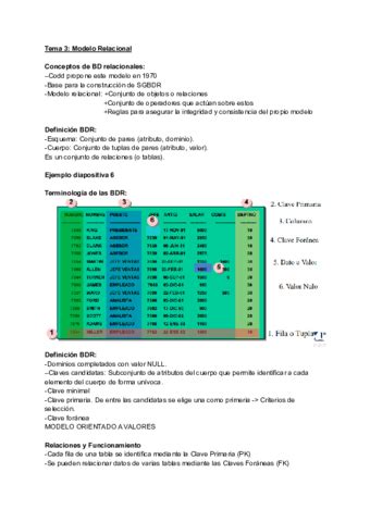 Tema Modelo Relacional Pdf